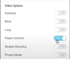 video editor settings in wordpress using elementor