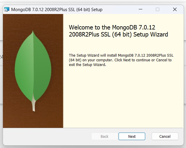 mongodb setup installation tutorial'